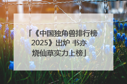 《中国独角兽排行榜2025》出炉 书亦烧仙草实力上榜