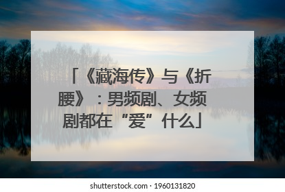 《藏海传》与《折腰》：男频剧、女频剧都在“爱”什么