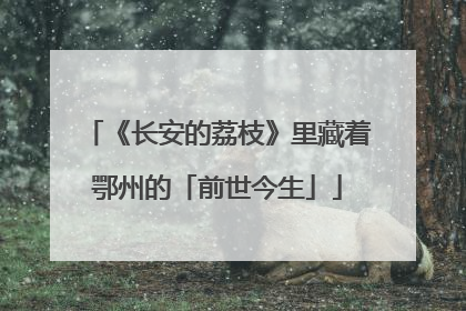《长安的荔枝》里藏着鄂州的「前世今生」