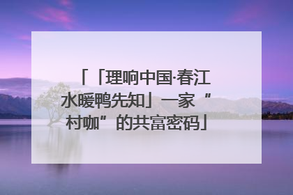 「理响中国·春江水暖鸭先知」一家“村咖”的共富密码