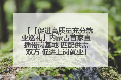 「促进高质量充分就业巡礼」内蒙古首家直播带岗基地 匹配供需双方 促进上岗就业