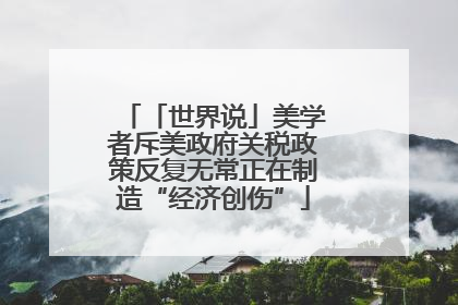 「世界说」美学者斥美政府关税政策反复无常正在制造“经济创伤”