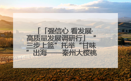 「强信心 看发展·高质量发展调研行」“三步上篮”托举“甘味”出海——秦州大樱桃高质量发展动作分解