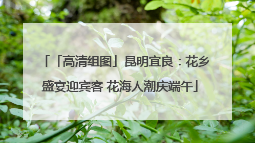 「高清组图」昆明宜良：花乡盛宴迎宾客 花海人潮庆端午
