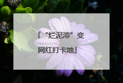 “烂泥潭”变网红打卡地