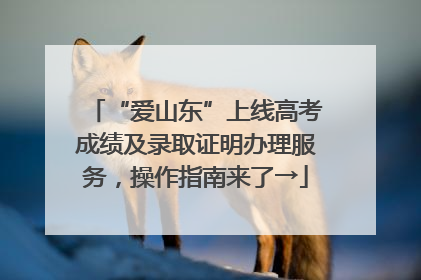 “爱山东”上线高考成绩及录取证明办理服务，操作指南来了→