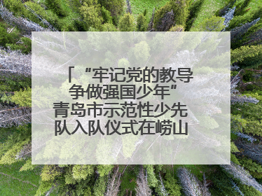 “牢记党的教导 争做强国少年”青岛市示范性少先队入队仪式在崂山区举办