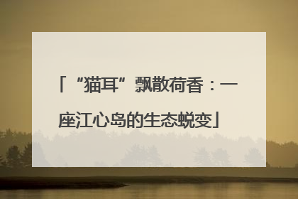 “猫耳”飘散荷香：一座江心岛的生态蜕变