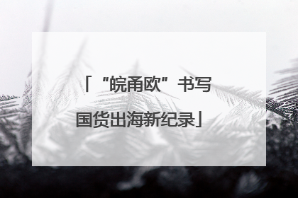 “皖甬欧”书写国货出海新纪录