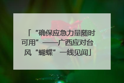 “确保应急力量随时可用”——广西应对台风“蝴蝶”一线见闻