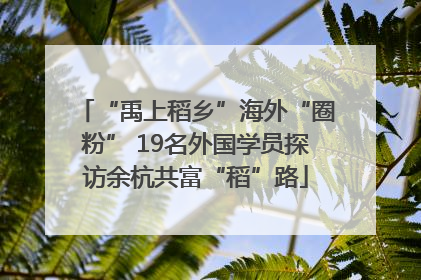 “禹上稻乡”海外“圈粉” 19名外国学员探访余杭共富“稻”路