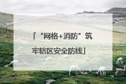 “网格+消防”筑牢辖区安全防线