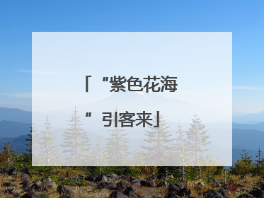 “紫色花海”引客来