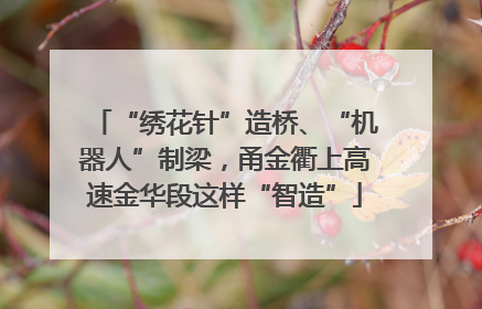 “绣花针”造桥、“机器人”制梁，甬金衢上高速金华段这样“智造”