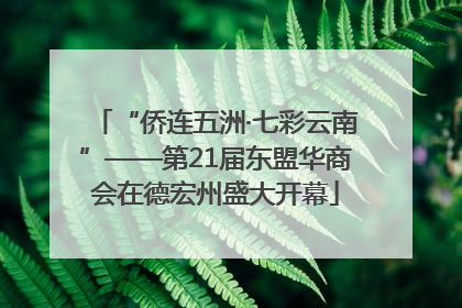 “侨连五洲·七彩云南”——第21届东盟华商会在德宏州盛大开幕