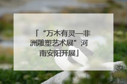 “万木有灵—非洲雕塑艺术展”河南安阳开展