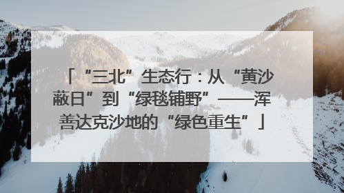“三北”生态行：从“黄沙蔽日”到“绿毯铺野”——浑善达克沙地的“绿色重生”