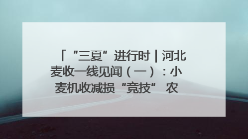 “三夏”进行时｜河北麦收一线见闻（一）：小麦机收减损“竞技” 农机高手麦田“过招”