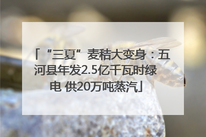 “三夏”麦秸大变身：五河县年发2.5亿千瓦时绿电 供20万吨蒸汽