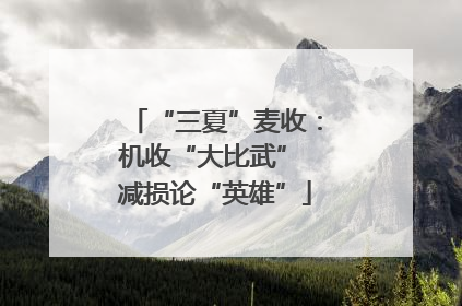 “三夏”麦收：机收“大比武” 减损论“英雄”