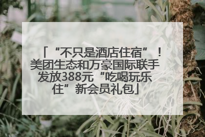 “不只是酒店住宿”！美团生态和万豪国际联手发放388元“吃喝玩乐住”新会员礼包