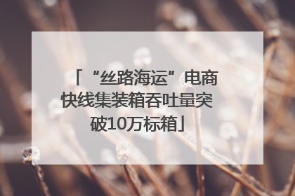 “丝路海运”电商快线集装箱吞吐量突破10万标箱