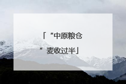 “中原粮仓”麦收过半