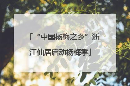“中国杨梅之乡”浙江仙居启动杨梅季