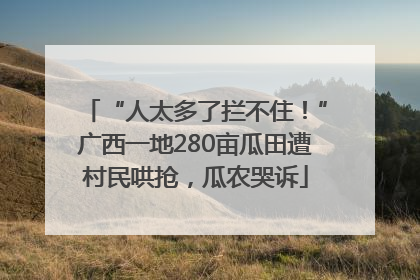 “人太多了拦不住！”广西一地280亩瓜田遭村民哄抢，瓜农哭诉