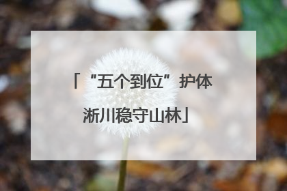 “五个到位”护体 淅川稳守山林