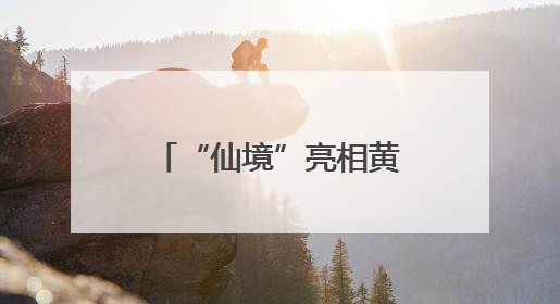 “仙境”亮相黄浦江畔，三大优惠游玩政策等你来