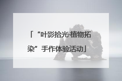 “叶影拾光·植物拓染”手作体验活动