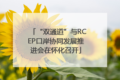 “双通道”与RCEP口岸协同发展推进会在怀化召开