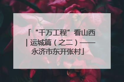 “千万工程”看山西｜运城篇（之二）——永济市东开张村