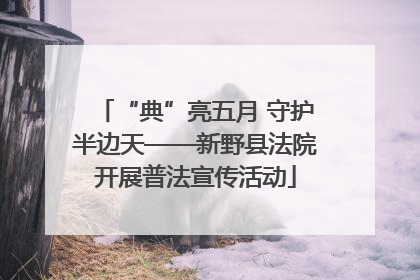 “典”亮五月 守护半边天——新野县法院开展普法宣传活动