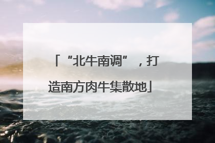 “北牛南调”，打造南方肉牛集散地