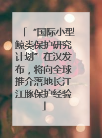 “国际小型鲸类保护研究计划”在汉发布，将向全球推介落地长江江豚保护经验