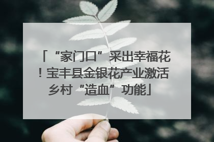 “家门口”采出幸福花！宝丰县金银花产业激活乡村“造血”功能