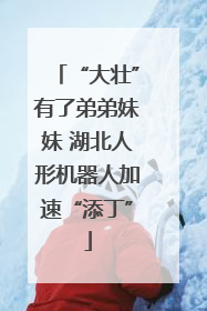 “大壮”有了弟弟妹妹 湖北人形机器人加速“添丁”