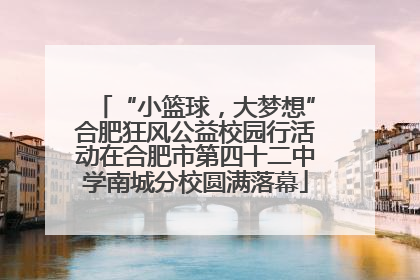 “小篮球，大梦想”合肥狂风公益校园行活动在合肥市第四十二中学南城分校圆满落幕