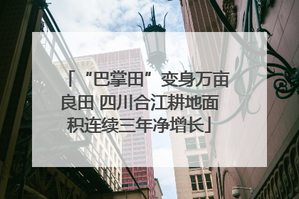“巴掌田”变身万亩良田 四川合江耕地面积连续三年净增长