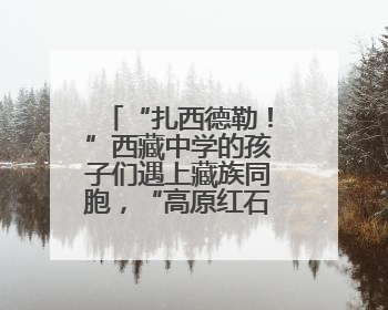 “扎西德勒！”西藏中学的孩子们遇上藏族同胞，“高原红石榴”绽放荆楚大地
