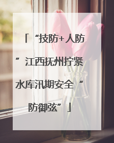 “技防+人防”江西抚州拧紧水库汛期安全“防御弦”