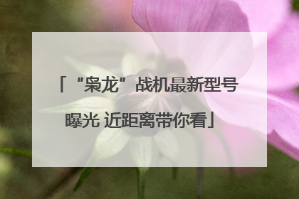 “枭龙”战机最新型号曝光 近距离带你看