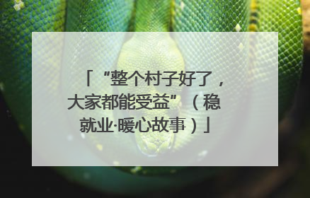 “整个村子好了，大家都能受益”（稳就业·暖心故事）