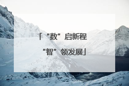 “数”启新程 “智”领发展