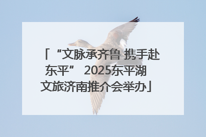 “文脉承齐鲁 携手赴东平” 2025东平湖文旅济南推介会举办