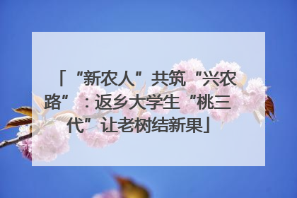 “新农人”共筑“兴农路”：返乡大学生“桃三代”让老树结新果