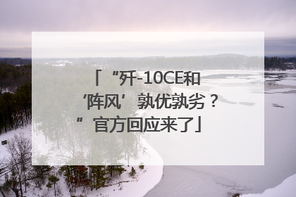 “歼-10CE和‘阵风’孰优孰劣？”官方回应来了