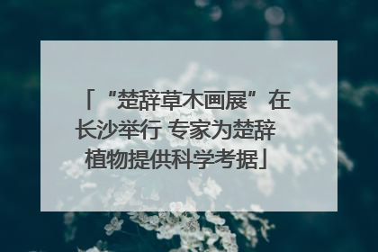 “楚辞草木画展”在长沙举行 专家为楚辞植物提供科学考据